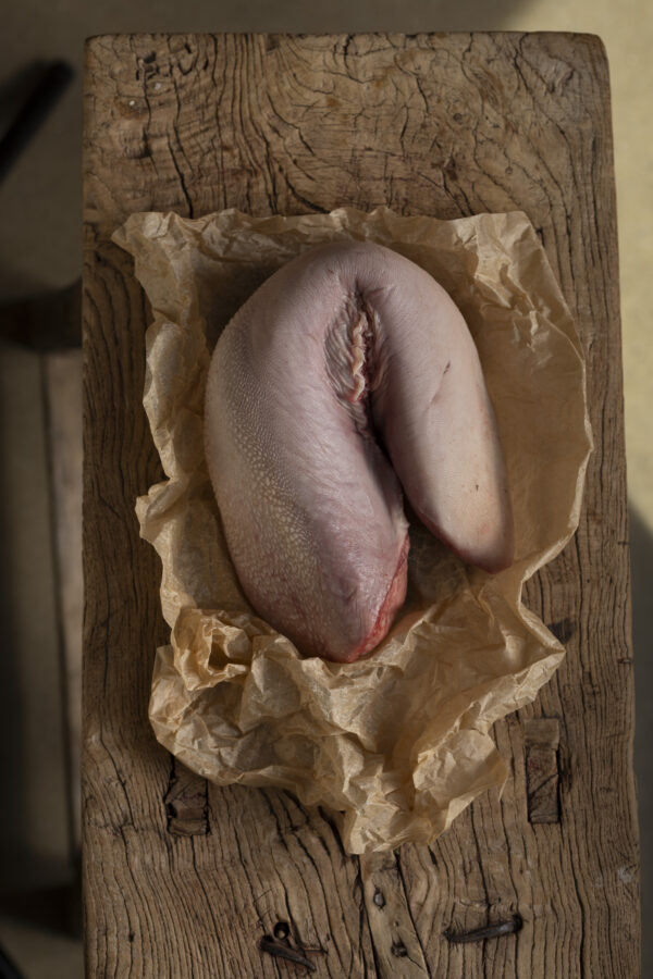Beef Tongue