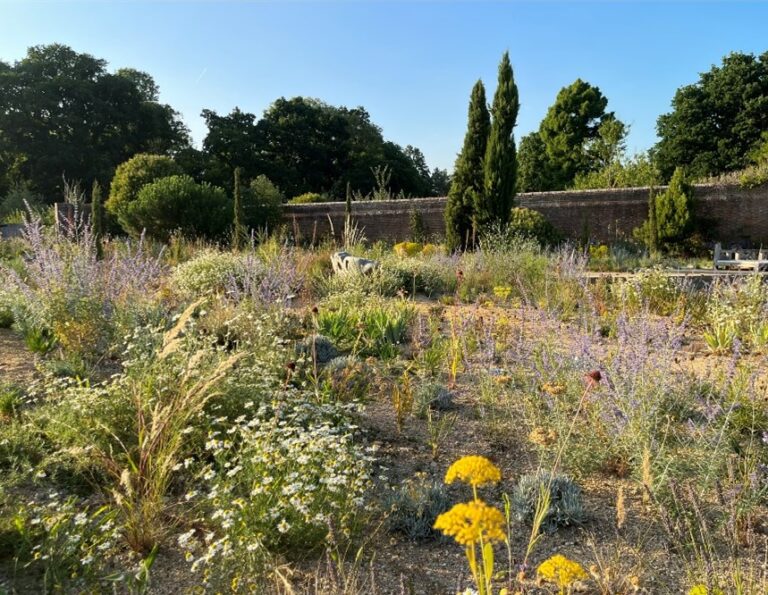 Walled Garden Knepp