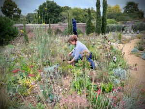 Managing the Rewilded Garden Workshop