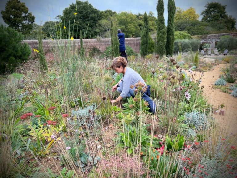 Managing the Rewilded Garden Workshop