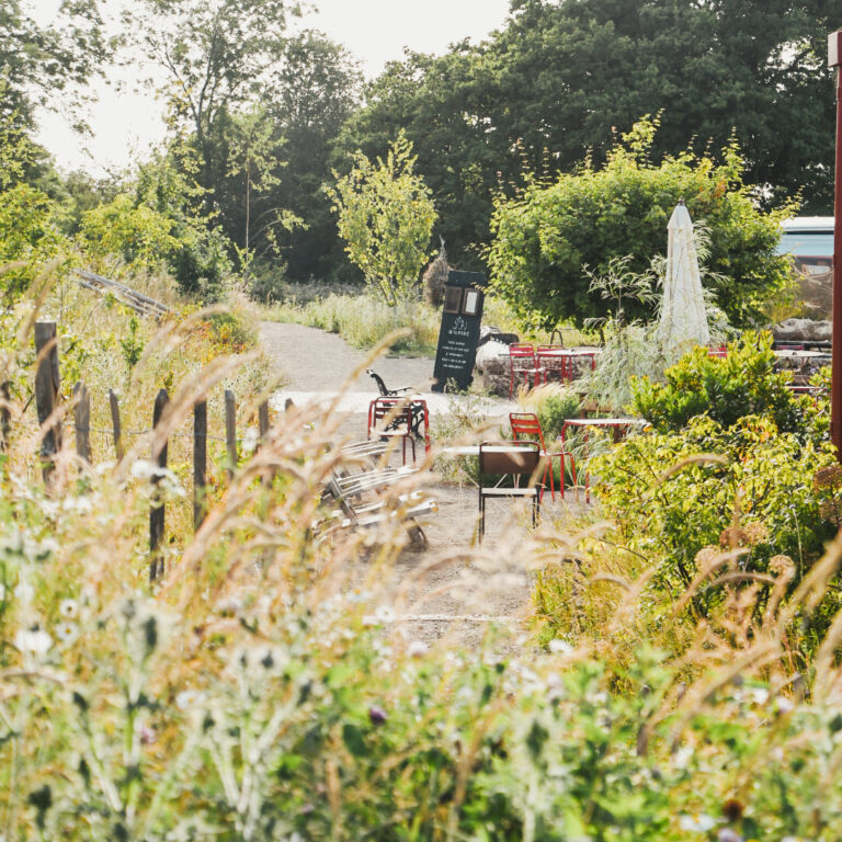 1000127948_305e8d60a062a401915539fddecb81b0-16_04_2025, 19_11_16