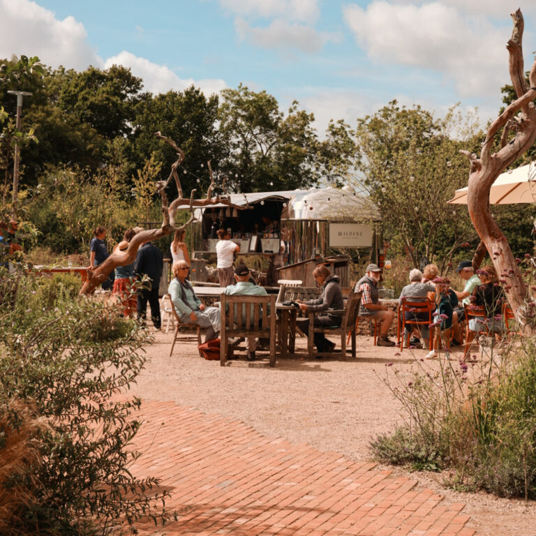 1000127953_c6ed87d94d5b00746f0706423fb5e373-16_04_2025, 19_52_44