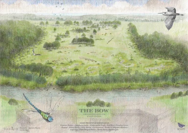 250313+-+The+Bow+Bird's+Eye+combined+layout+Summer+P02+low+res