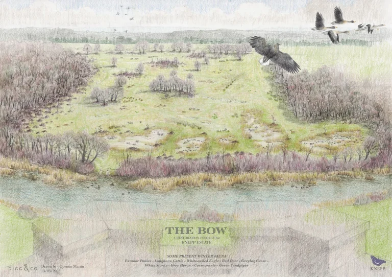 250313+-+The+Bow+Bird's+Eye+combined+layout+Winter+P02+low+res