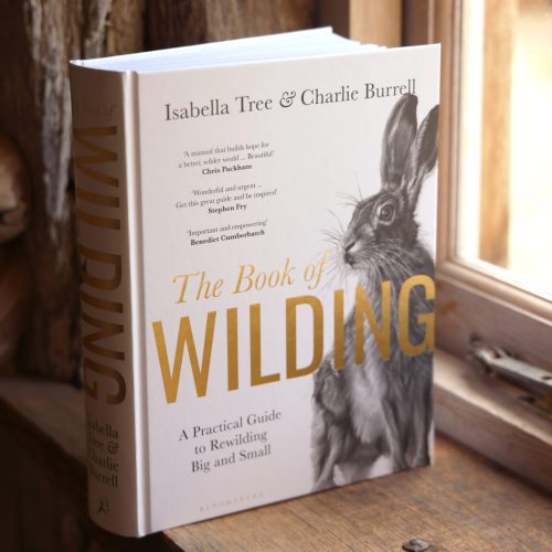 Book of Wilding Isabella Tree Charlie Burrell 1