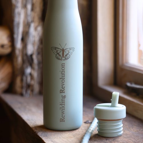 Rewidling Revolution Water Bottle large 2