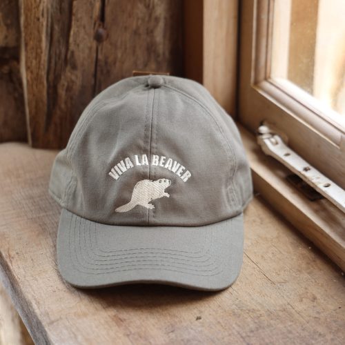 Viva La Beaver Cap 1