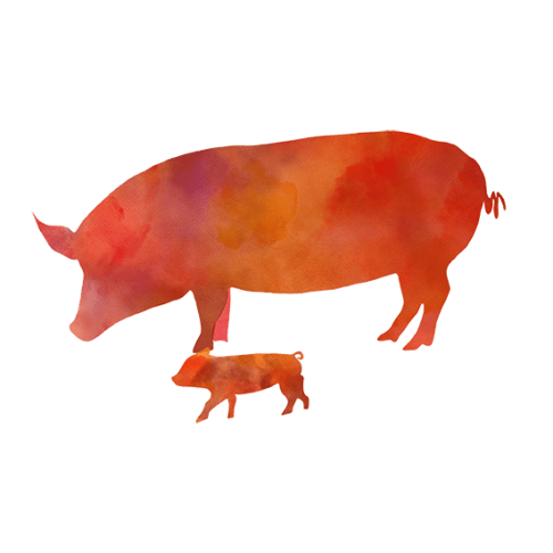 pork.png
